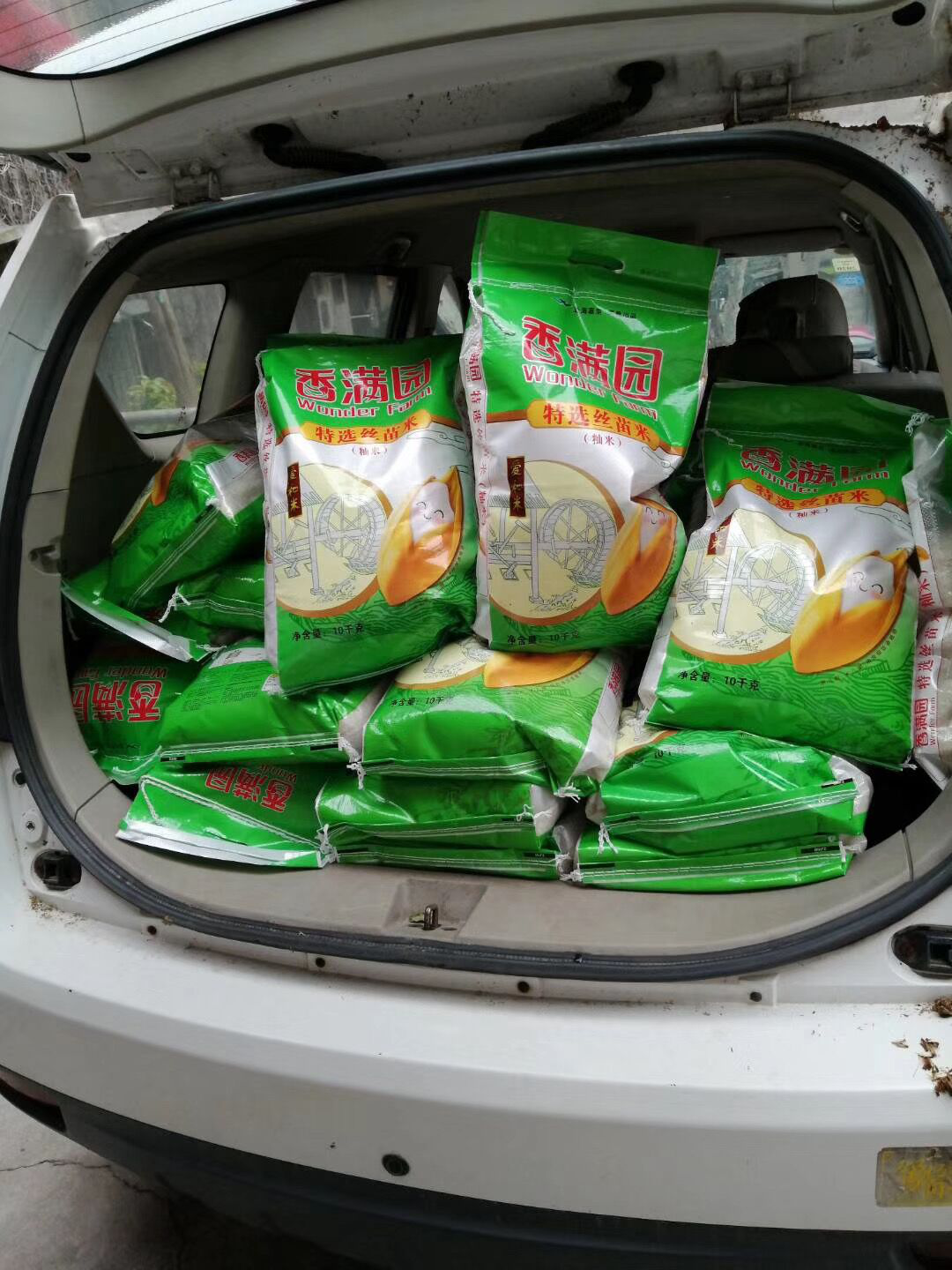 前往农产品大市场拉运物资.png
